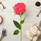 17 12AA FLOR ROSA INDIVIDUAL 3ROJO