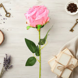 17 12AA FLOR ROSA INDIVIDUAL 3ROSA