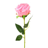 17 12AA FLOR ROSA INDIVIDUAL 3ROSA