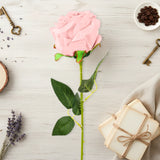 17 12AA FLOR ROSA INDIVIDUAL 3