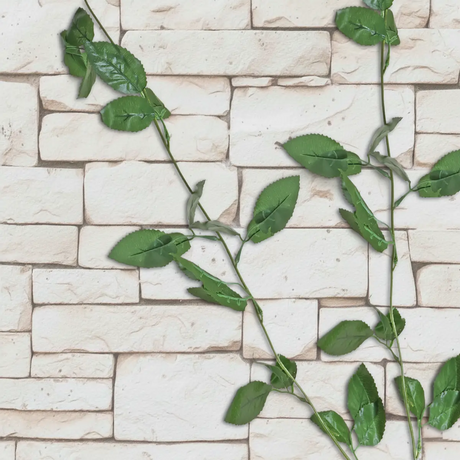 15 12AA ENREDADERA V3