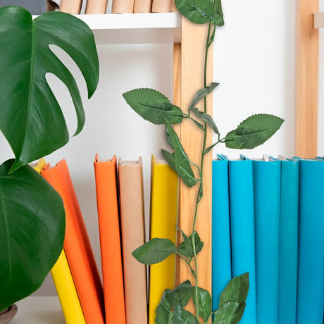 15 12AA ENREDADERA V3