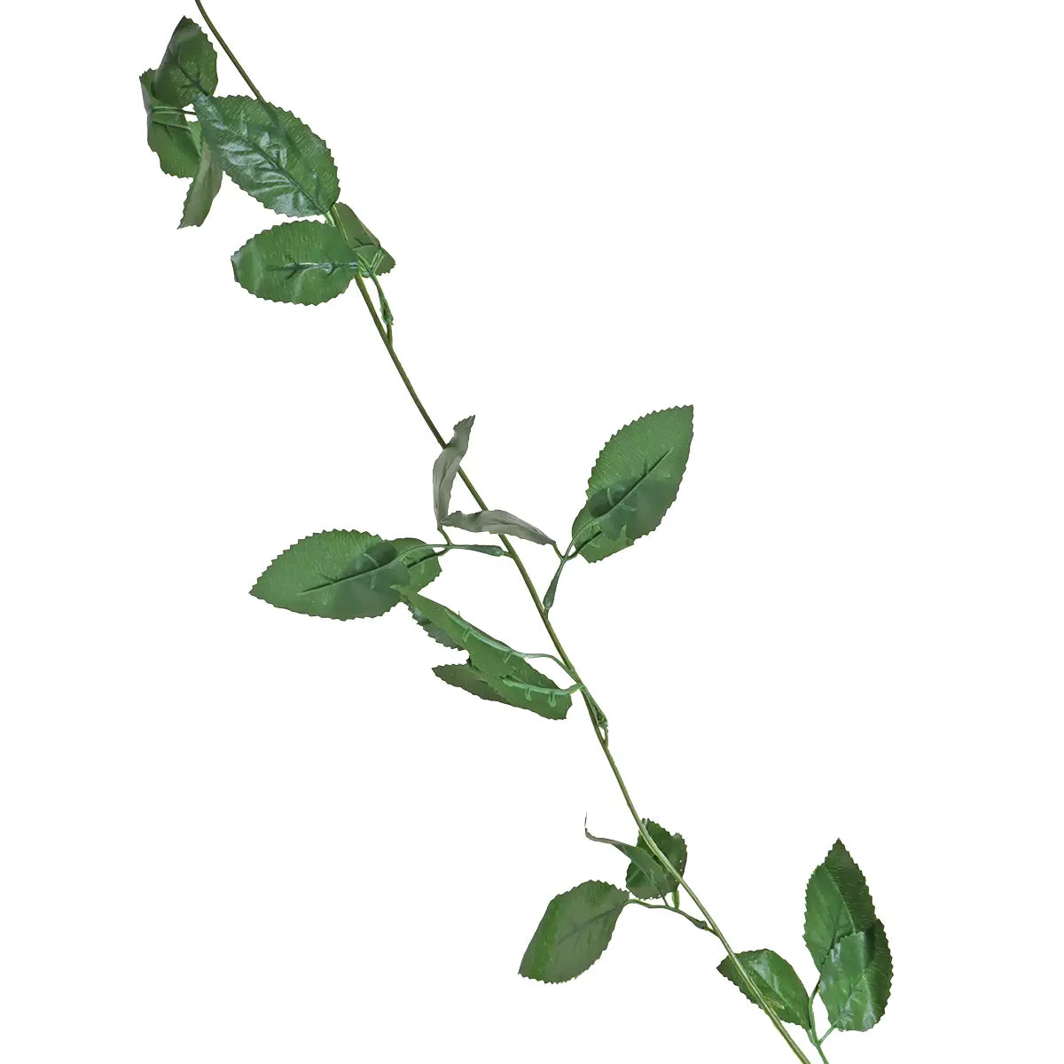 15 12AA ENREDADERA V3