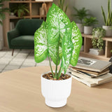 Planta Potus Artificial con Maceta Blanca