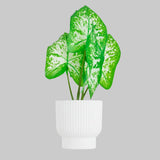 Planta Potus Artificial con Maceta Blanca