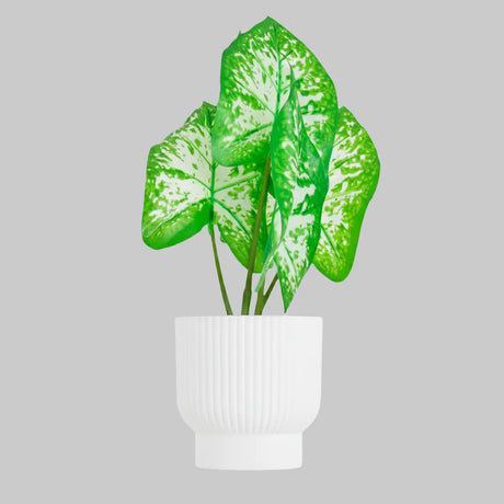 Planta Potus Artificial con Maceta Blanca