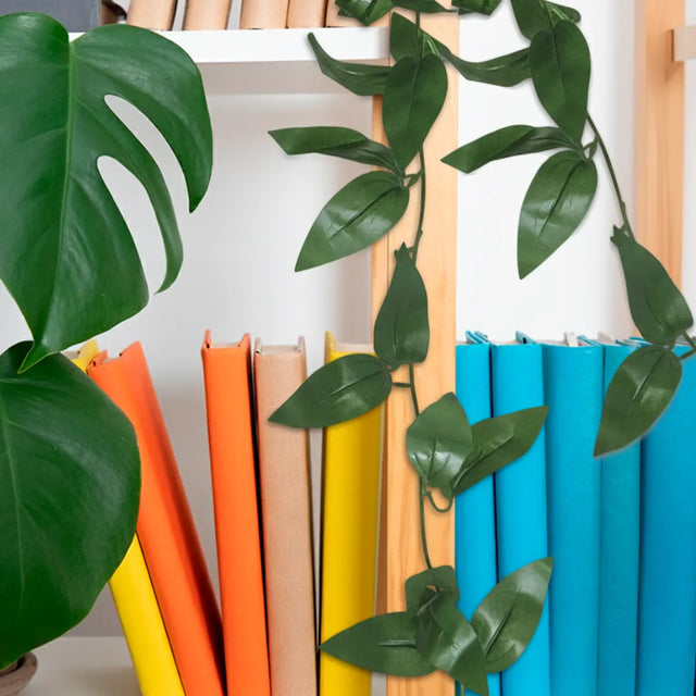 15 12AA ENREDADERA V2