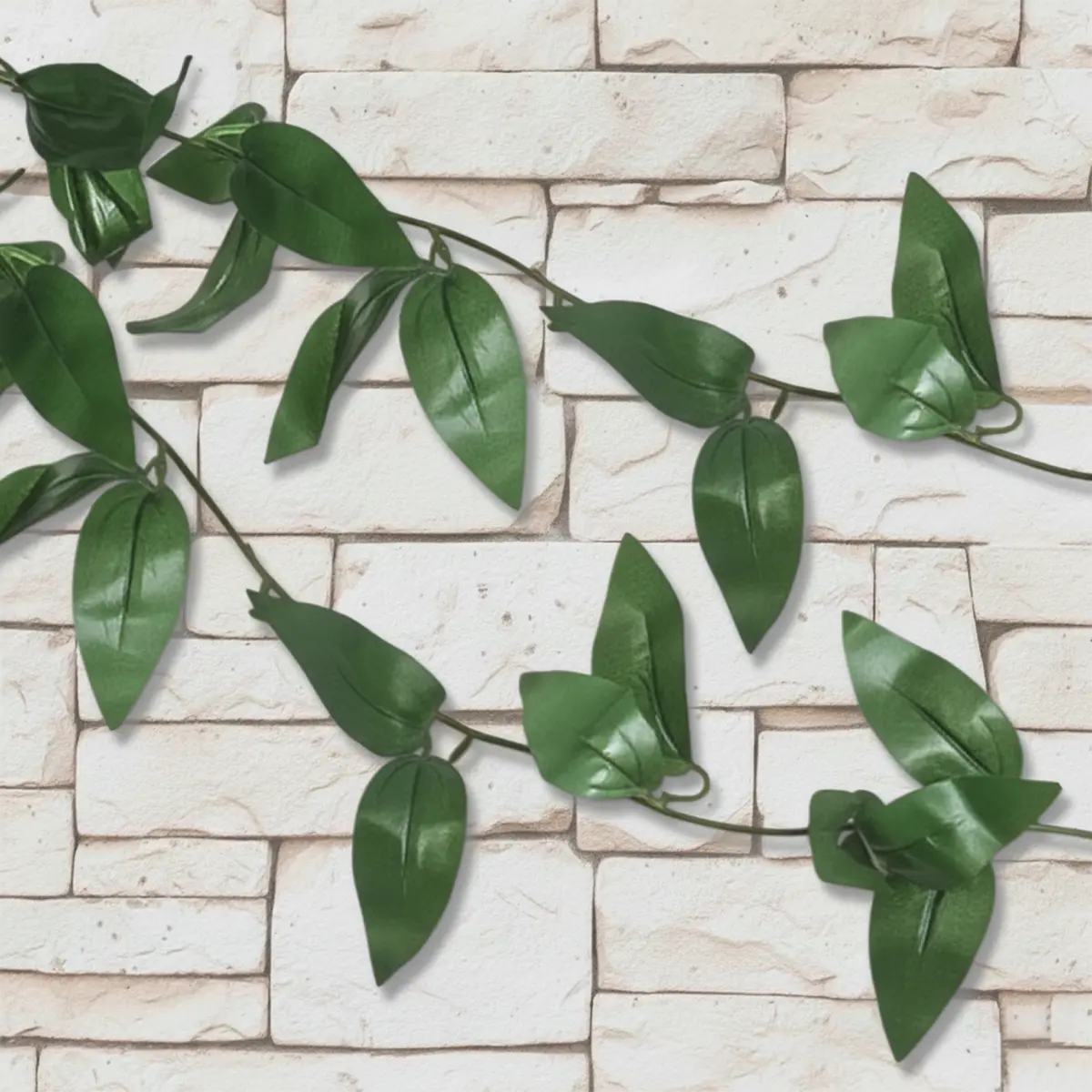 15 12AA ENREDADERA V2