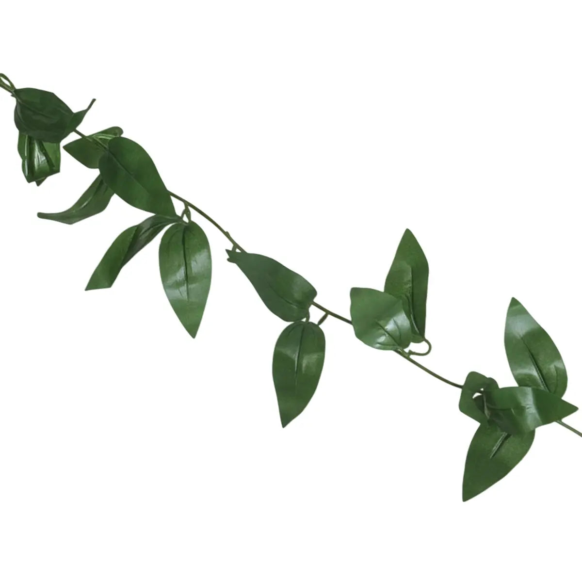 15 12AA ENREDADERA V2