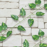 15 12AA ENREDADERA V6