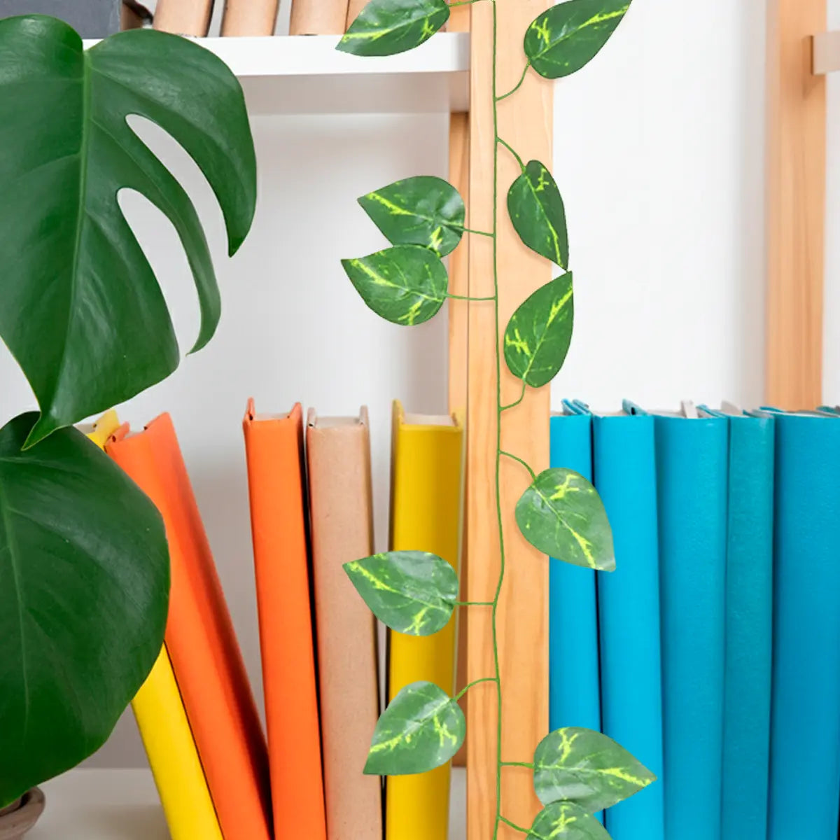 15 12AA ENREDADERA V6