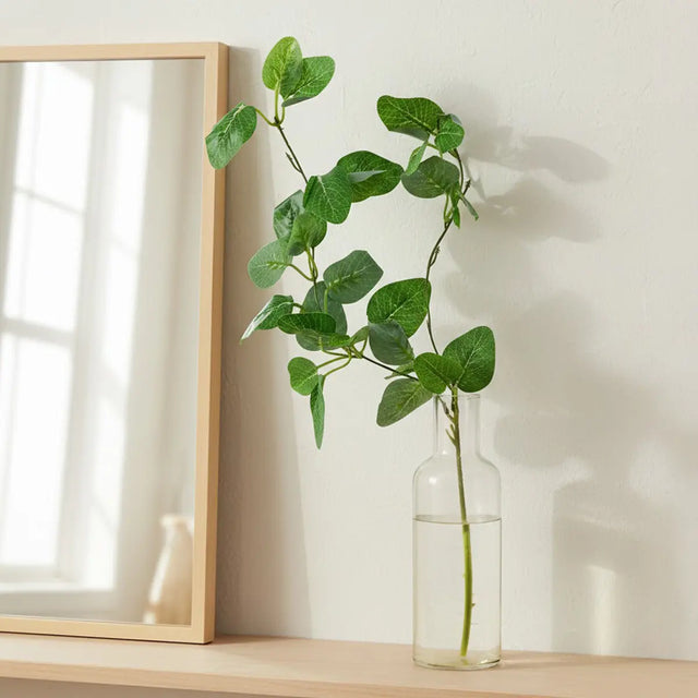 15 12AA ENREDADERA V6 2