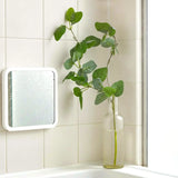 15 12AA ENREDADERA V6 2