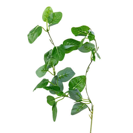 15 12AA ENREDADERA V6 2