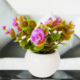 Planta Lila con Maceta Circular, Color Blanco