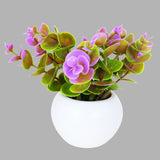 Planta Lila con Maceta Circular, Color Blanco