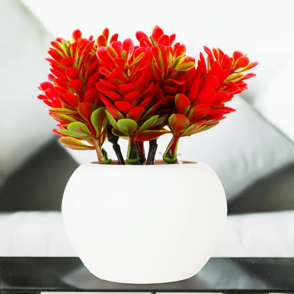 Planta Roja con Maceta Circular