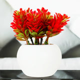 Planta Roja con Maceta Circular