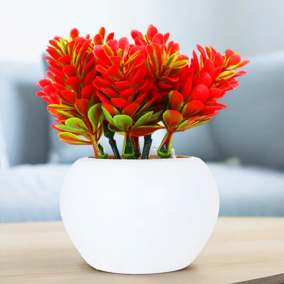 Planta Roja con Maceta Circular