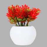 Planta Roja con Maceta Circular