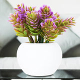 Planta con Maceta Circular