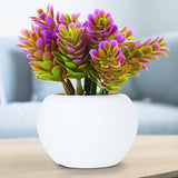 Planta con Maceta Circular