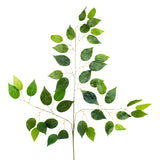 Moyic Artificial, Hojas de Planta Artificial