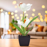 Orquídea Artificial con Maceta, Color Blanco