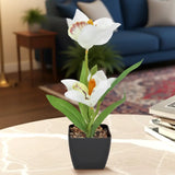 Orquídea Artificial con Maceta, Color Blanco