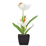 Orquídea Artificial con Maceta, Color Blanco
