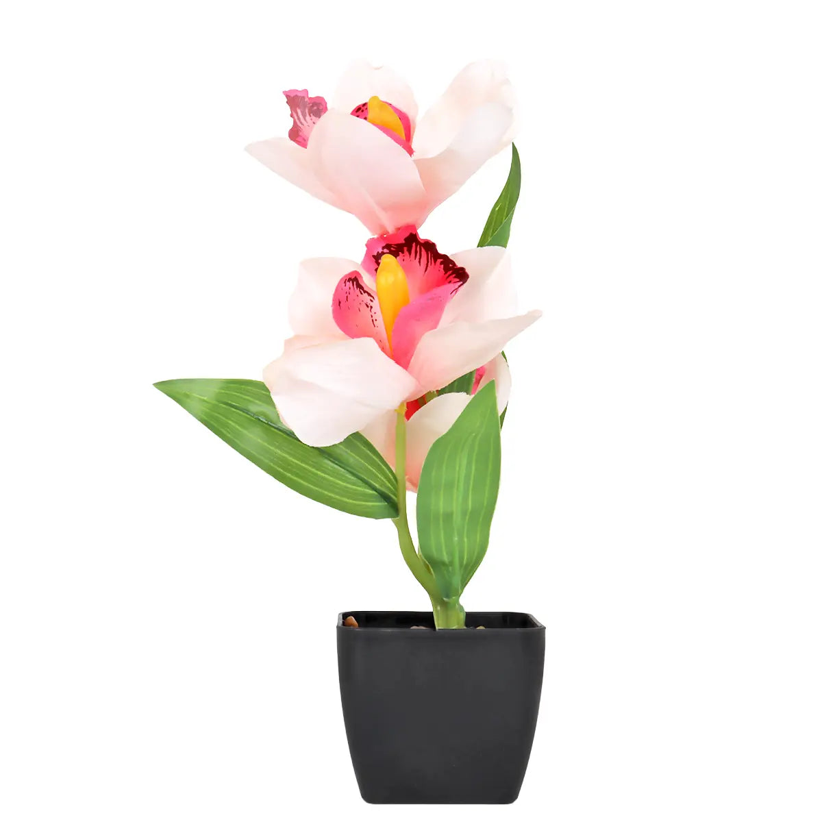 Orquídea Artificial con Maceta, Colores