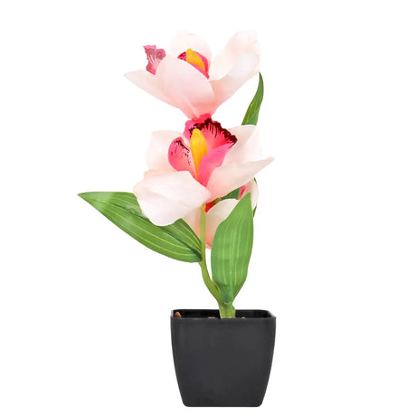 Orquídea Artificial con Maceta, Colores