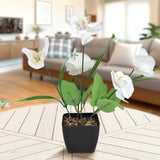 Orquídea Mariposa Artificial con Maceta, Color Blanco