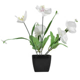 Orquídea Mariposa Artificial con Maceta, Color Blanco