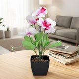 Orquídea Mariposa Artificial con Maceta, Colores