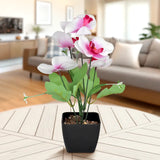 Orquídea Mariposa Artificial con Maceta, Colores
