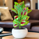 Rama de Planta Artificial, Coleus