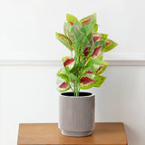 Rama de Planta Artificial, Coleus