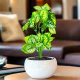 Rama de Planta Artificial