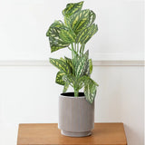 Hojas de Planta Artificial