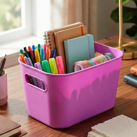 22 12AA CANASTA ORGANIZADORA 25X16CMMORA