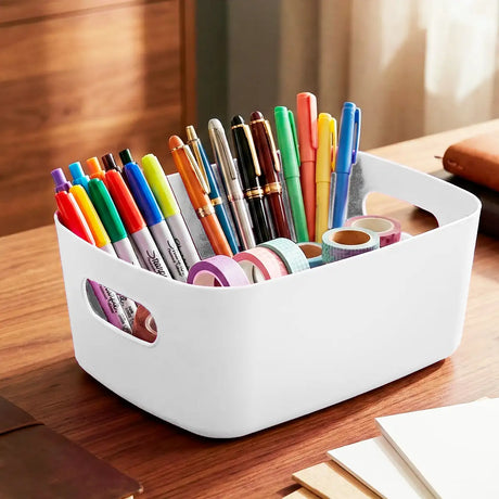 22 12AA CANASTA ORGANIZADORA 24X10CM