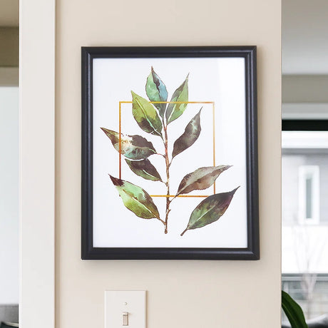 Portarretrato, Planta, Color Negro