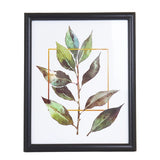 Portarretrato, Planta, Color Negro