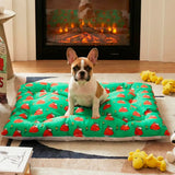 Cama para Mascota, Snoopy, Color Verde