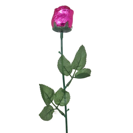 Choco-Rosa, Color Rosa