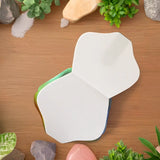 Cuaderno, Dinosaurio