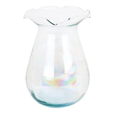 Florero Austria, Transparente