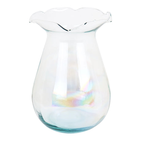 Florero Austria, Transparente