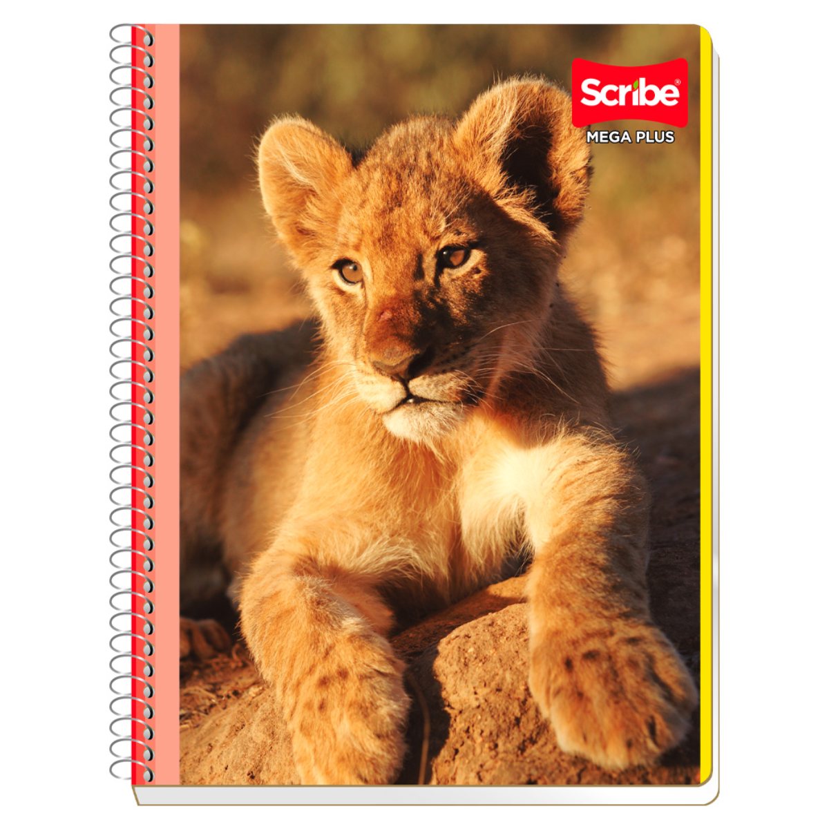 Cuaderno Profesional Scribe Mega Plus, Cuadro Grande, 100 Hojas